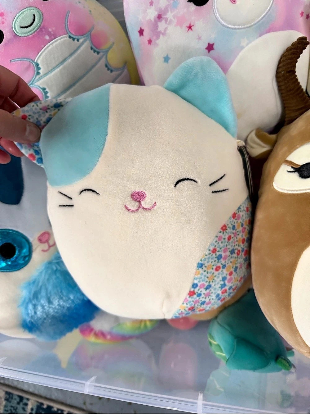 Squishmallows - Picture 3 of 7